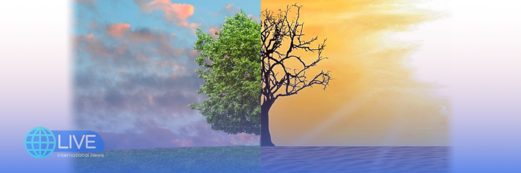 The Importance of Climate Change Policy