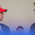 Elon Musk Opposes Trump Team's Elimination of Car Crash