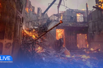 LA Wildfires Claim 24 Lives and Devastate Communities