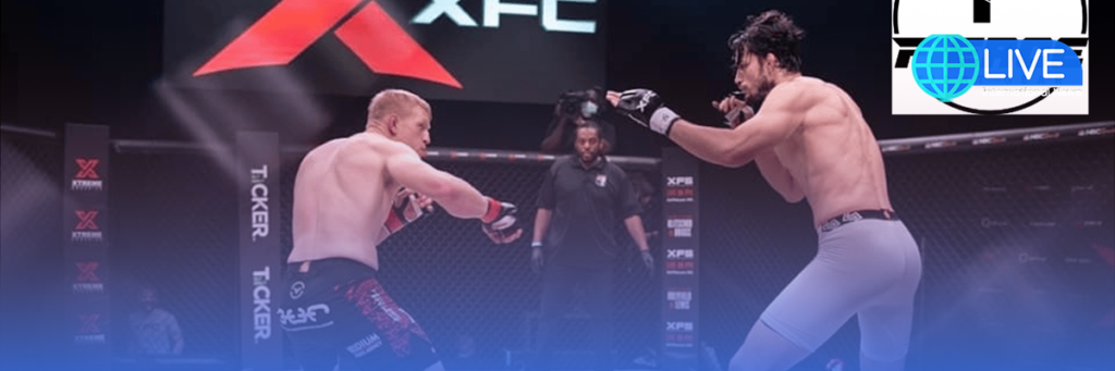 The Landscape of MMA Promotions