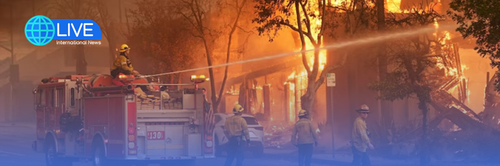 The Role of Technology