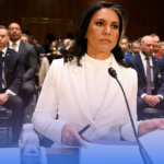 Tulsi Gabbard New Role in U.S. Intelligence