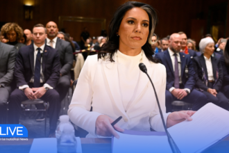 Tulsi Gabbard New Role in U.S. Intelligence
